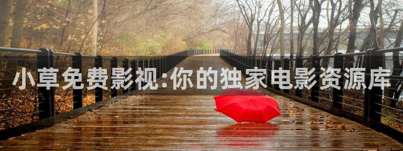 辽化新视觉3d影院节目表：小草免费影视:你的独家电影资源库
