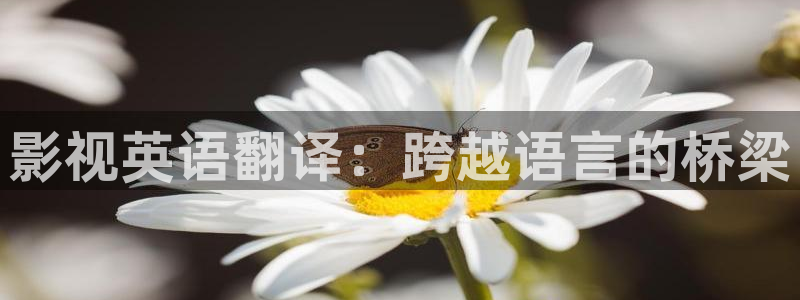 新视觉影业：影视英语翻译：跨越语言的桥梁