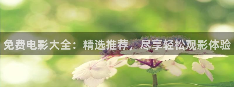 新视觉6080yy：免费电影大全：精选推荐，尽享轻松观影体验