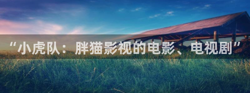 6080新视觉三级影院：“小虎队：胖猫影视的电影、电视剧”
