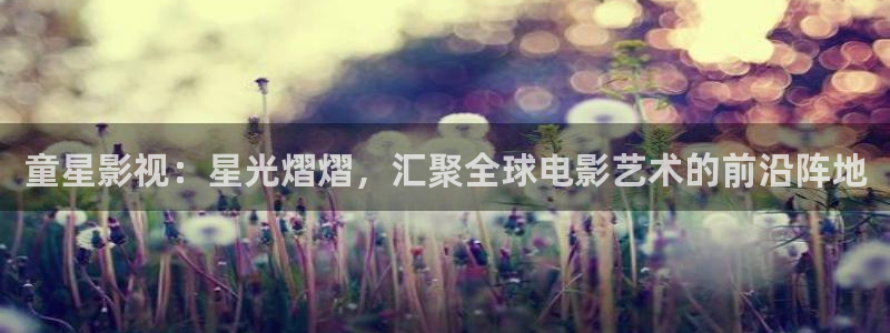 新视觉影院私人影院：童星影视：星光熠熠，汇聚全球电影艺术的前沿阵地
