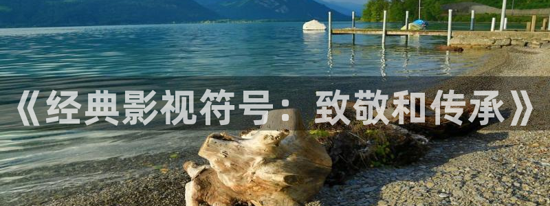 新视觉影院免费看电视剧：《经典影视符号：致敬和传承》
