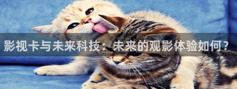 yy6080新视觉电影在线观看：影视卡与未来科技：未来的观影体验如何？