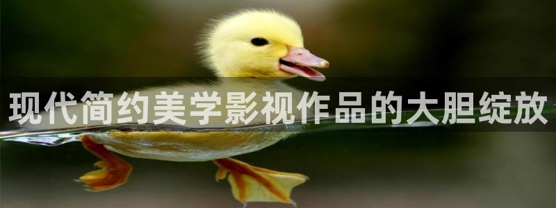 6080新视觉影视一2022(实时更新)：现代简约美学影视作品的大胆绽放
