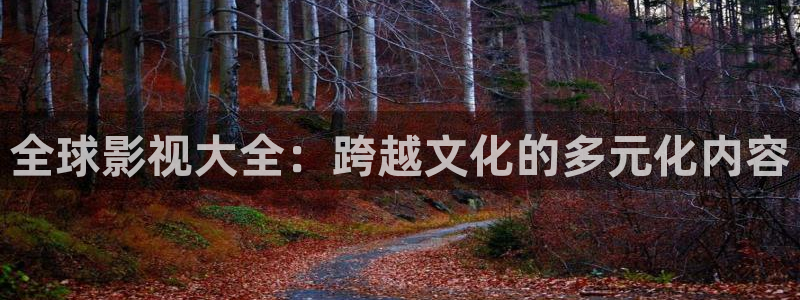 yy.6080新视觉影院：全球影视大全：跨越文化的多元化内容