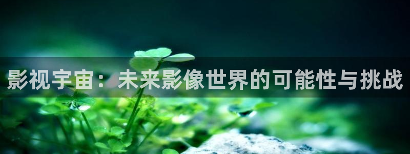 6080新视觉影院网站：影视宇宙：未来影像世界的可能性与挑战